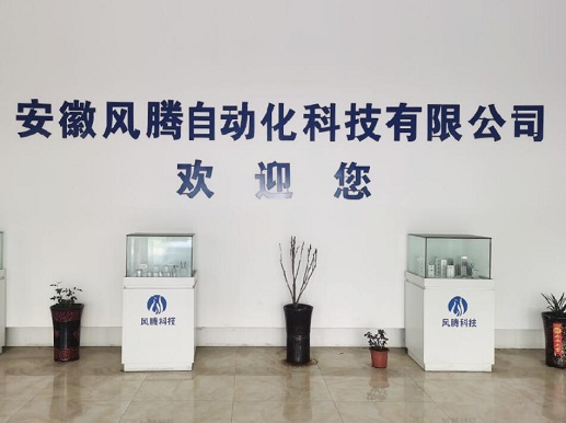 Anhui Fengteng Automatic Technology Co., Ltd. 案例圖片